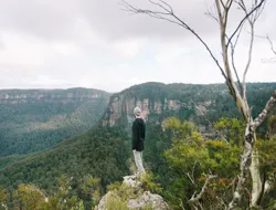 3-Hour Guided Army Truck Tour of Blue Mountains